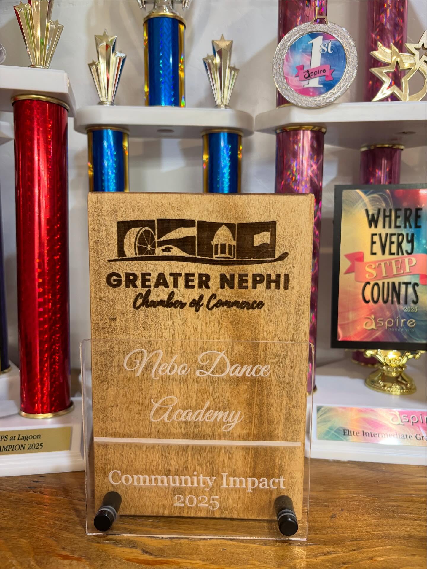 Trophy shelf with the Greater Nephi Chamber of Commerce Community Impact 2025 award